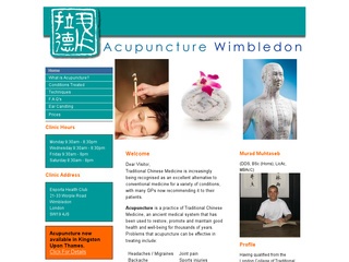 Acupuncture Wimbledon.
