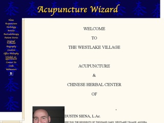 Acupuncture Wizard