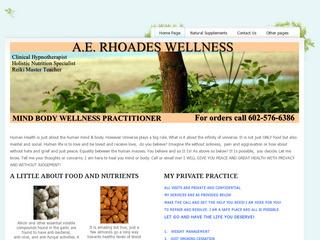 Mind Body Wellness Practitioner